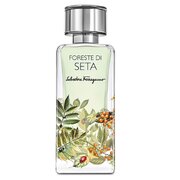 Salvatore Ferragamo Foreste Di Seta Parfumuotas vanduo 100ml