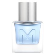 Mexx Ice Touch For Him Tualetinis vanduo