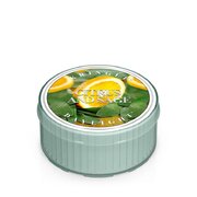 Kringle Candle CITRUS & SAGE kvapioji žvakė (35 g)