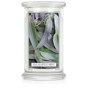 Kringle Candle Eucalyptus Mint didelė 2 dagčių kvapioji žvakė (624 g)