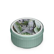 Kringle Candle Eucalyptus Mint kvapioji žvakė (35 g)