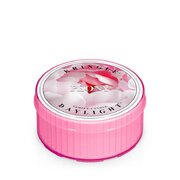 Kringle Candle Bijūnų kvapo žvakė (35 g)