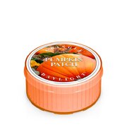 Kringle Candle Pumpkin Patch kvapioji žvakė (35 g)