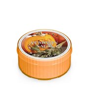 Kringle Candle Pumpkin Sage kvapioji žvakė (35 g)