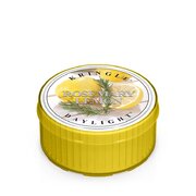 Kringle Candle Rosemary Citrinų kvapo žvakė (35 g)