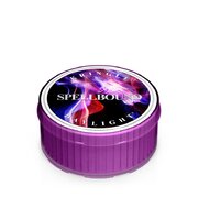 Kringle Candle Spellbound kvapioji žvakė (35 g)