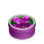 Kringle Candle Sweet Pea kvapioji žvakė (35 g)