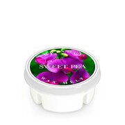 Kringle Candle Sweet Pea kvapus vaškas (35 g)