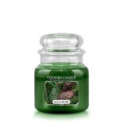 Country Candle Balsam Fir vidutinė 2 dagčių kvapni žvakė (453 g)