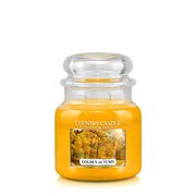 Country Candle Golden Autumn vidutinė 2 dagčių kvapni žvakė (453 g)