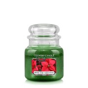 Country Candle Home for Christmas kvapioji žvakė vidutinė 2 dagčiai (453 g)