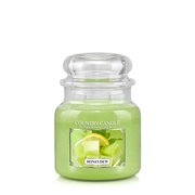Country Candle Honeydew vidutinė 2 dagčių kvapni žvakė (453 g)