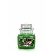 Country Candle Balsam Fir kvapioji žvakė, 1 dagtis (104 g)