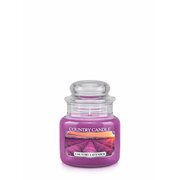 Country Candle Country Levander kvapioji žvakė, 1 dagtis (104 g)