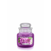 Country Candle Fresh Lilac kvapioji žvakė mini 1 dagtis (104 g)