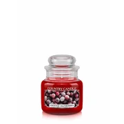 Country Candle Frosted Cranberries kvapioji žvakė mini 1 dagtis (104 g)