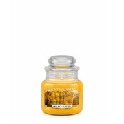 Country Candle Golden Autumn kvepianti mini žvakė 1 dagtis (104 g)