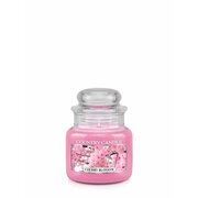 Country Candle Cherry Blossom kvapni žvakė mini 1 dagtis (104 g)