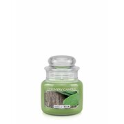 Country Candle Sage & Cedar kvapioji žvakė mini 1 dagtis (104 g)
