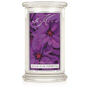 Kringle Candle Sugar Plum Poinsettia didelė 2 dagčių kvapioji žvakė (624 g)