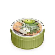Kringle Candle Crisp Apple & Sage kvapioji žvakė (35 g)