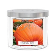 Kringle Candle TUMBLER Pumpkin Patch vidutinė 2 dagčių kvapni žvakė (411 g)
