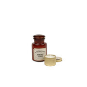 Paddywax Apothecary SEA SALT & SAGE kvapioji žvakė (8oz / 226g)