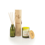 Paddywax Eco Green BLOOD ORANGE & BERGAMOT difuzorius (4 uncijos / 118 ml)