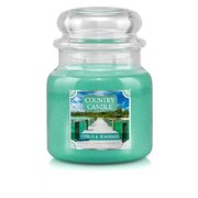 Country Candle Citrus & Seagrass vidutinė 2 dagčių kvapni žvakė (453 g)