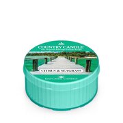 Country Candle Citrusinių ir jūržolių kvapioji žvakė (35 g)