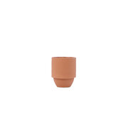 Paddywax Parks GRAND CANYON CERAMIC CACTUS Flower & FARN (11 uncijų / 311 g)