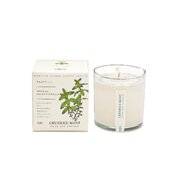 KOBO Plant the Box Crushed Mint kvapioji žvakė (10oz / 283g)