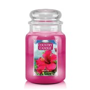 Country Candle Hibiscus didelė 2 dagčių kvapni žvakė (652 g)