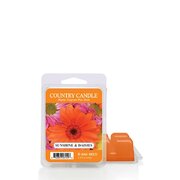 Country Candle Sunshine & Daisies kvapus vaškas (64 g)