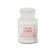 Paddywax FARMHOUSE Cactus Flower kvapioji žvakė (8oz / 226g)