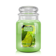 Country Candle Putojanti didelė 2 dagčių kvapioji žvakė (652 g)
