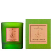 Vila Hermanos Aromathologie Eukalipto kvapo žvakė 200g