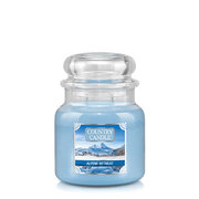 Country Candle Alpine Retreat vidutinė 2 dagčių kvapni žvakė (453 g)