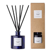 Vila Hermanos Apothecary Cobalt Blue Eucalyptus & Mint difuzorius 100 ml