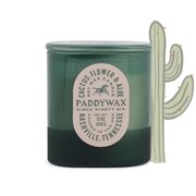 Paddywax Vista Cactus Flower & Aloe kvapioji žvakė 340 g