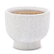 Paddywax kipariso ir eglės kvapo žvakė keraminiame indelyje (14 uncijų / 396 g)