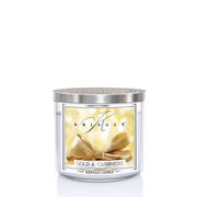 Kringle Candle TUMBLER Auksinė ir kašmyro 3 dagčių kvapioji žvakė 411g