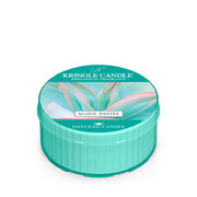 Kringle Candle Agave Pastelinė kvapni žvakė (42 g)