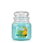 Country Candle Mango Nectar kvapioji žvakė vidutinė 2 dagčiai (453 g)