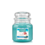 Country Candle Paradise Breeze vidutinė 2 dagčių kvapni žvakė (453 g)