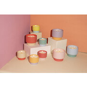 Paddywax Color Block Sparkling Greipfruit kvapioji žvakė 453g