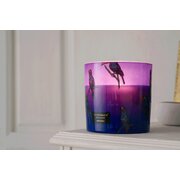 Vila Hermanos Jungletopia Toucan Rainforest kvapni žvakė 200g