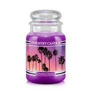 Country Candle Purple Palm didelė 2 dagčių kvapioji žvakė (652 g)