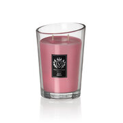 Vellutier Rosy Cheeks kvapioji žvakė 515g