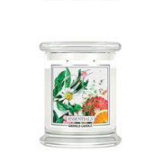 Kringle Candle Essentials kvapioji žvakė vidutinė 2 dagčiai (411 g)